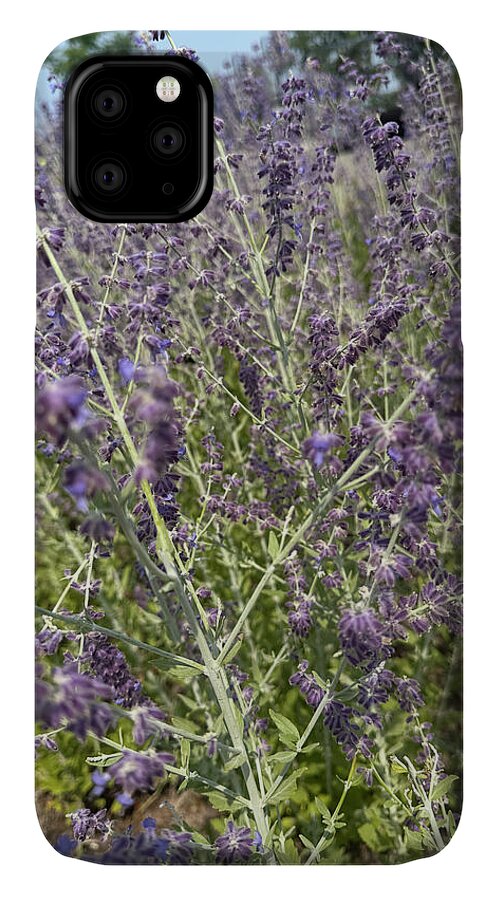 Russian Sage - Phone Case