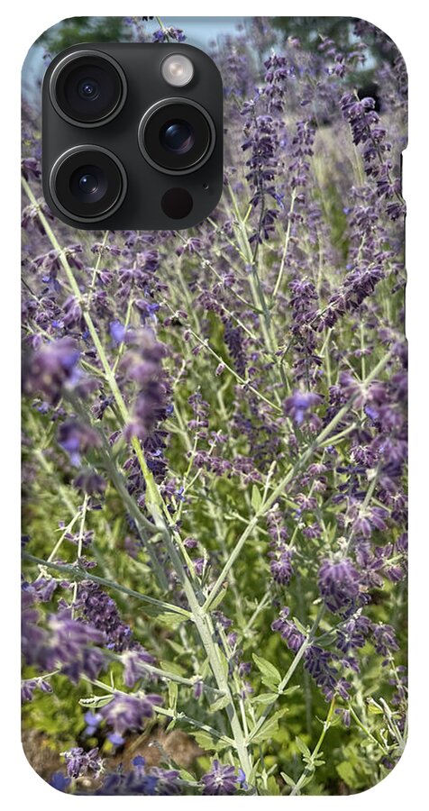 Russian Sage - Phone Case