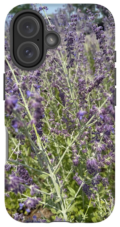 Russian Sage - Phone Case