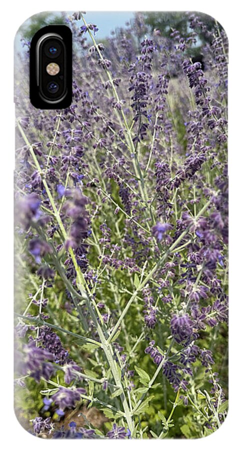 Russian Sage - Phone Case