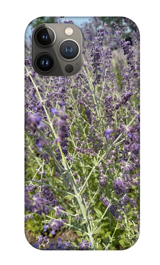 Russian Sage - Phone Case