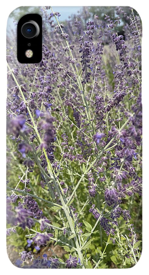 Russian Sage - Phone Case
