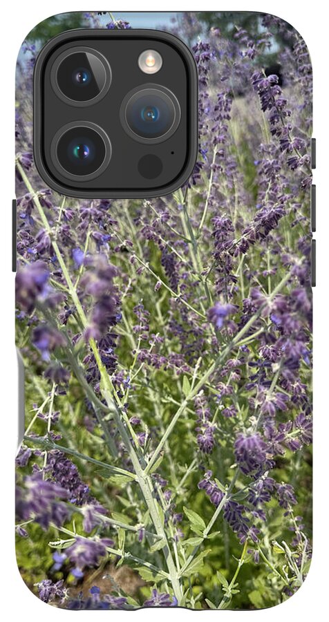 Russian Sage - Phone Case