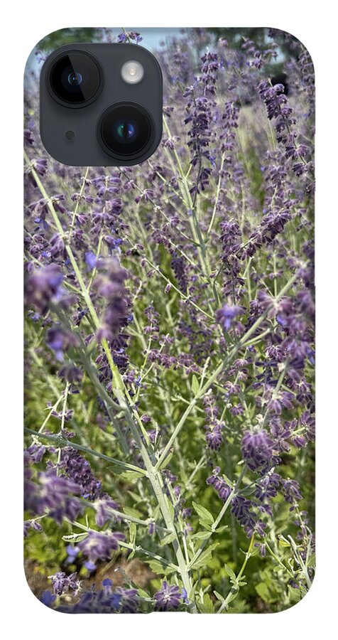 Russian Sage - Phone Case