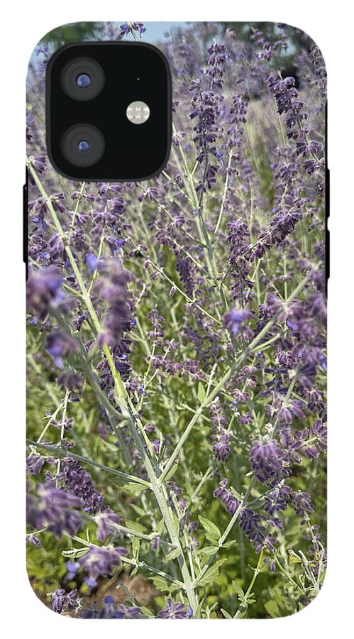 Russian Sage - Phone Case