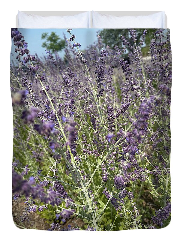 Russian Sage - Duvet Cover
