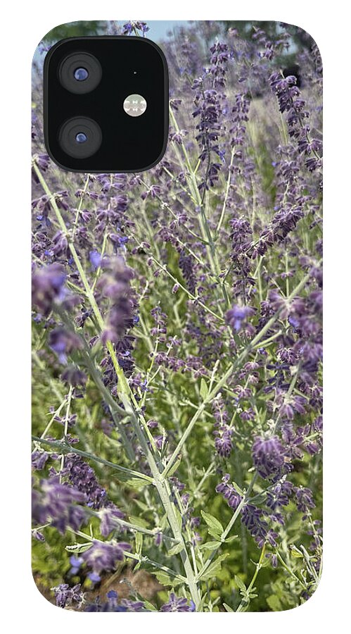 Russian Sage - Phone Case