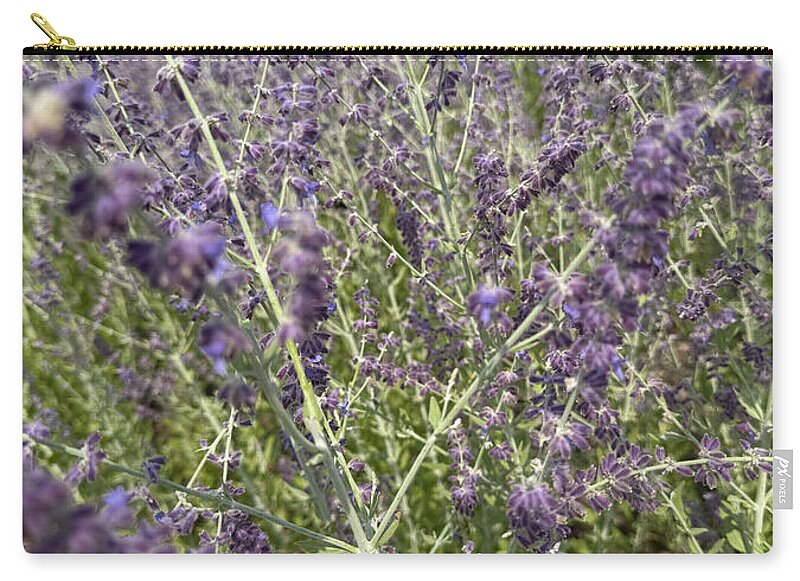 Russian Sage - Zip Pouch