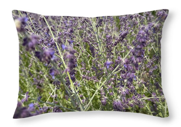 Russian Sage - Throw Pillow