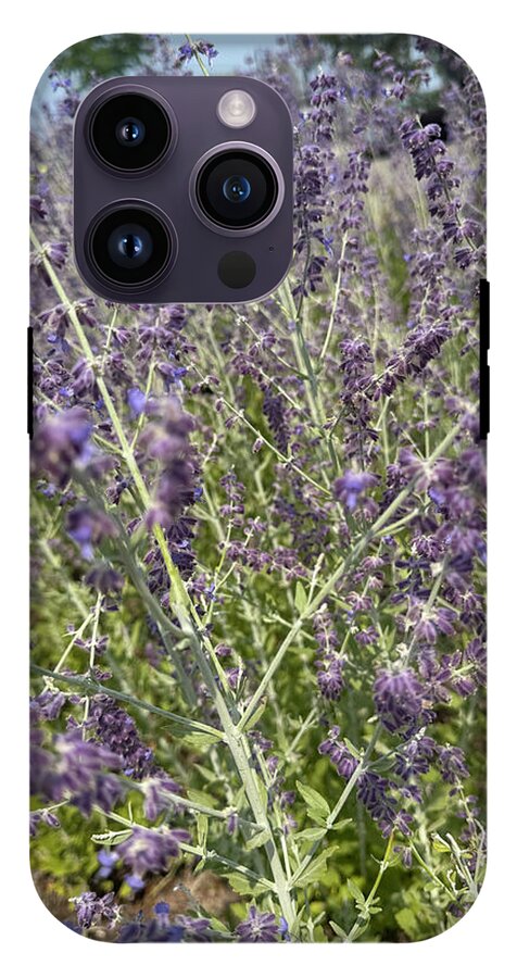 Russian Sage - Phone Case