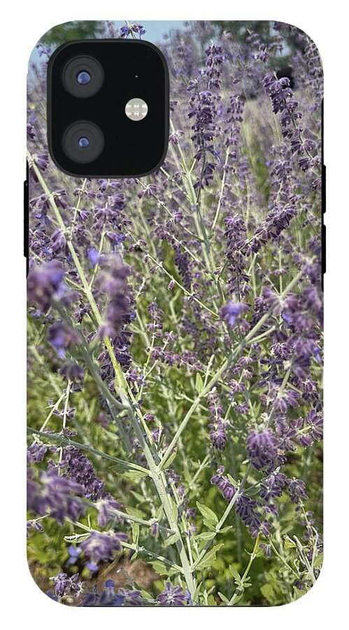 Russian Sage - Phone Case