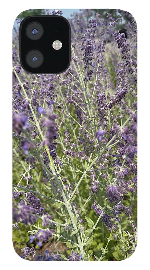 Russian Sage - Phone Case