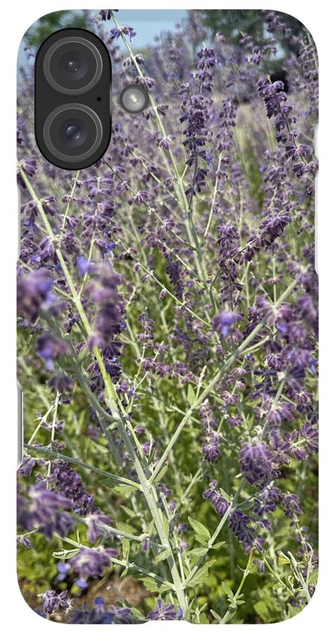 Russian Sage - Phone Case