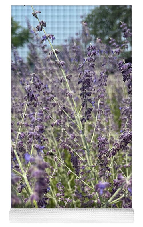 Russian Sage - Yoga Mat