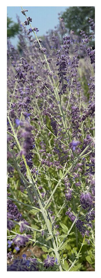 Russian Sage - Yoga Mat