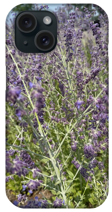 Russian Sage - Phone Case