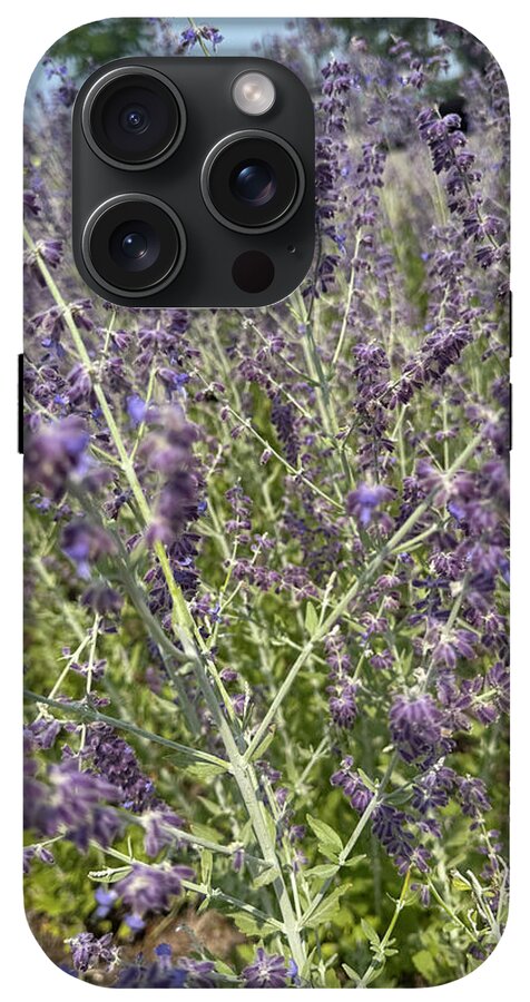 Russian Sage - Phone Case