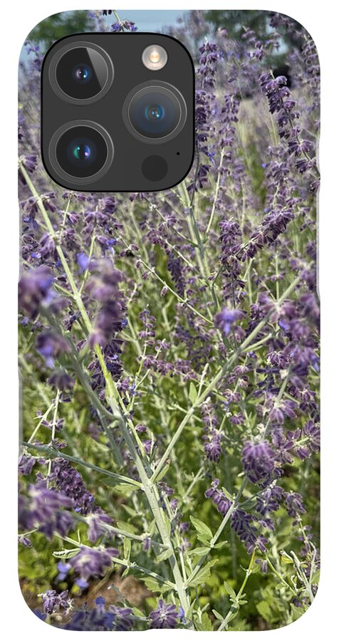 Russian Sage - Phone Case
