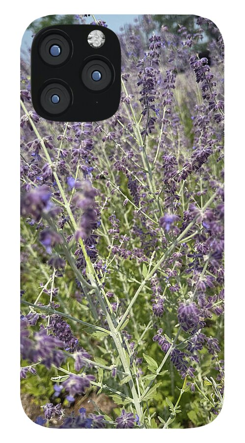 Russian Sage - Phone Case