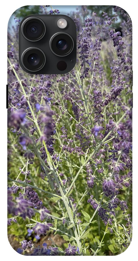 Russian Sage - Phone Case