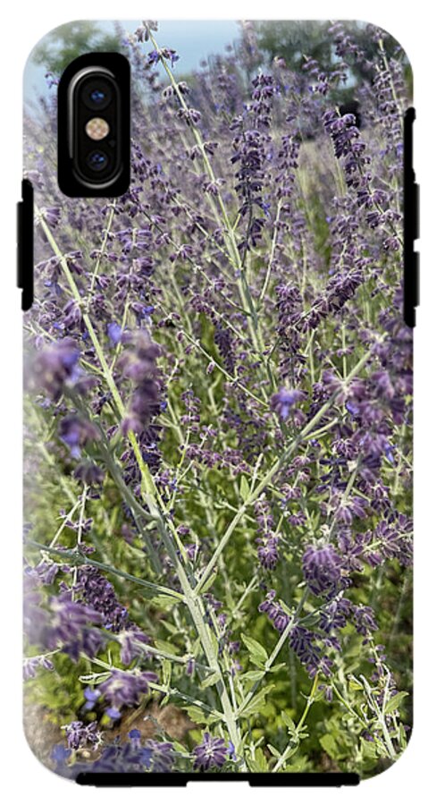 Russian Sage - Phone Case