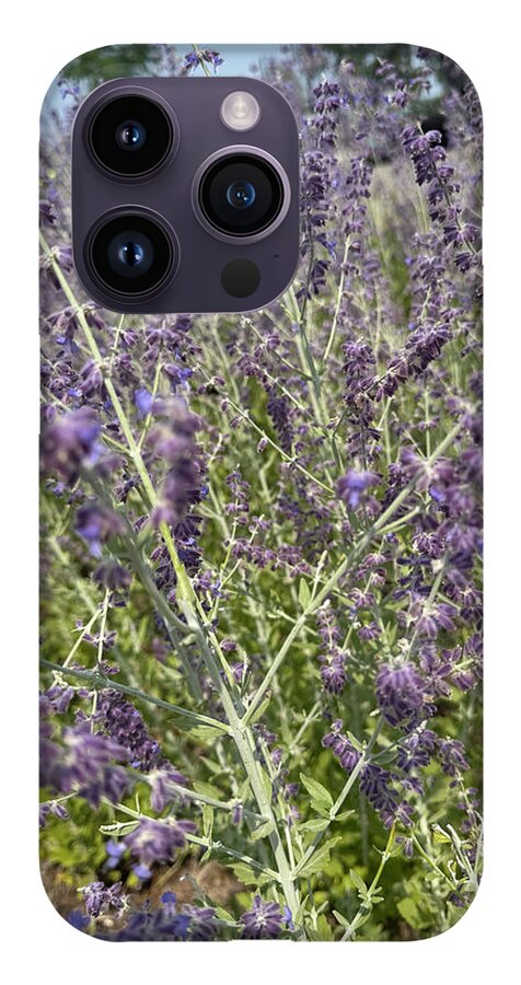 Russian Sage - Phone Case