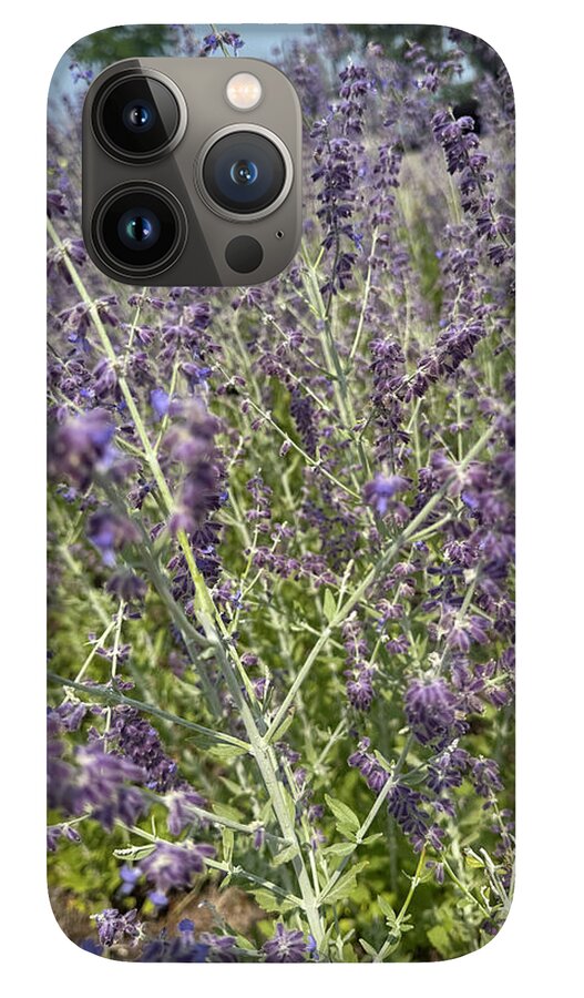 Russian Sage - Phone Case