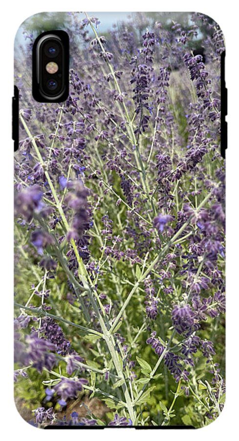 Russian Sage - Phone Case