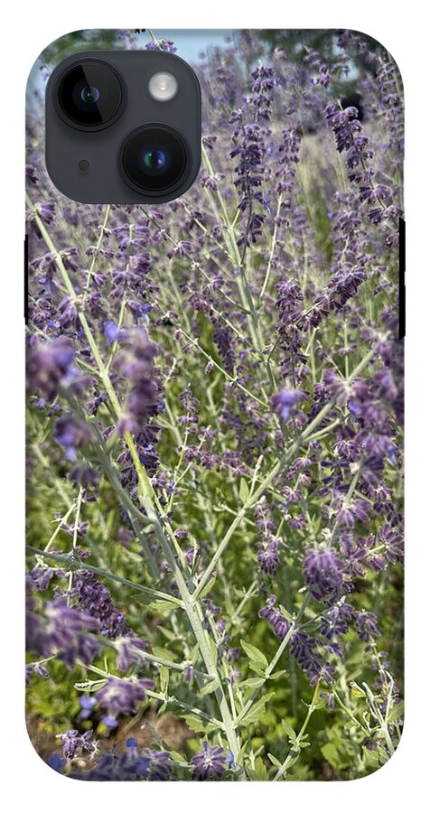 Russian Sage - Phone Case