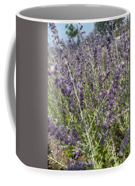 Russian Sage - Mug