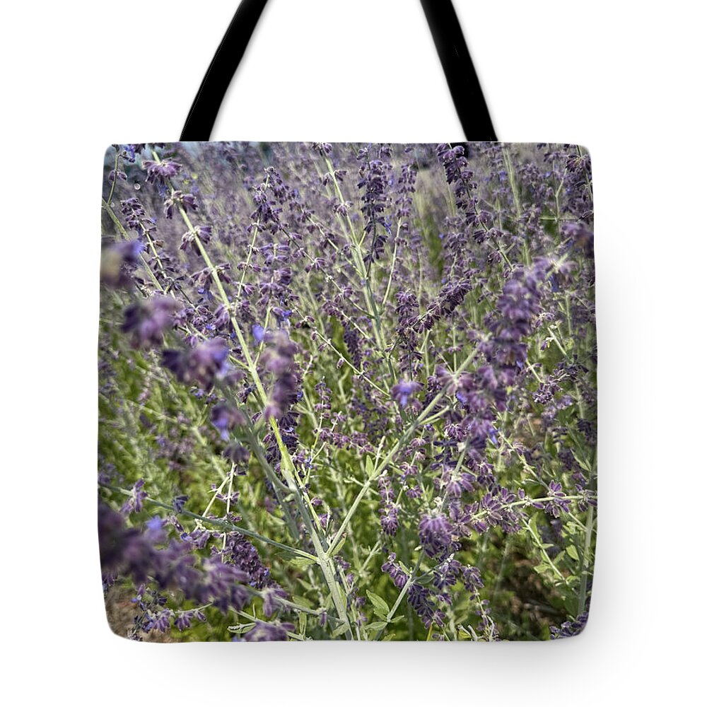 Russian Sage - Tote Bag
