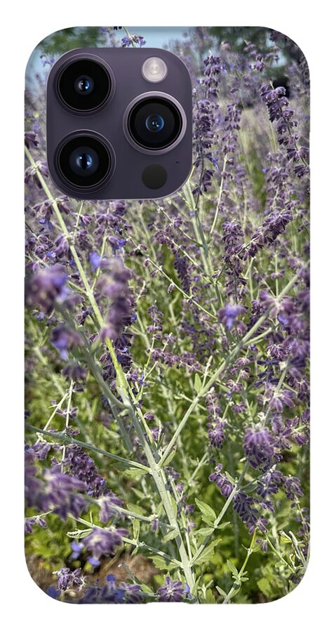 Russian Sage - Phone Case