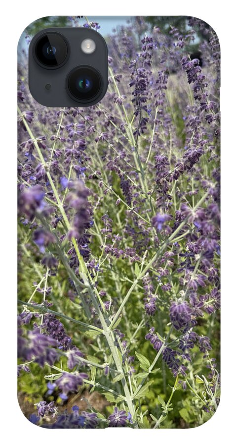Russian Sage - Phone Case