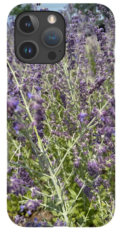 Russian Sage - Phone Case