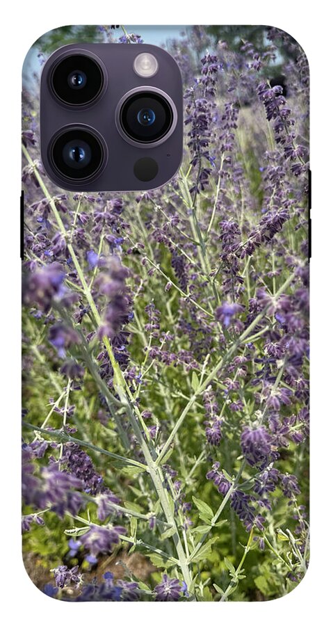 Russian Sage - Phone Case