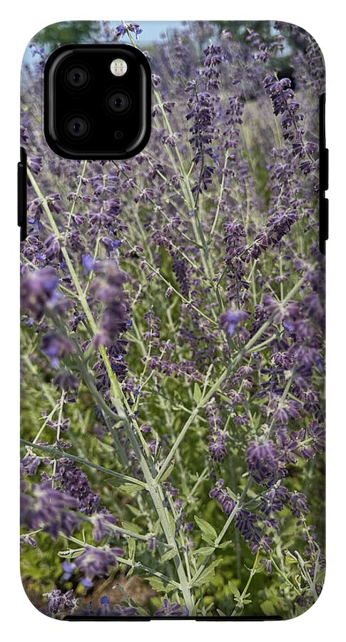 Russian Sage - Phone Case