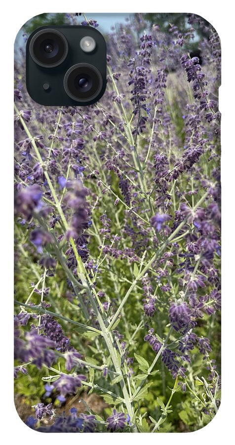 Russian Sage - Phone Case