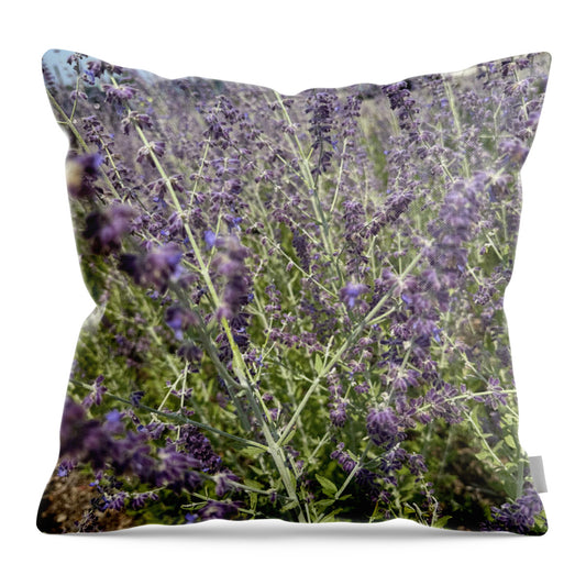 Russian Sage - Throw Pillow