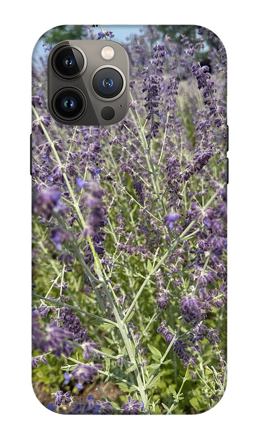 Russian Sage - Phone Case