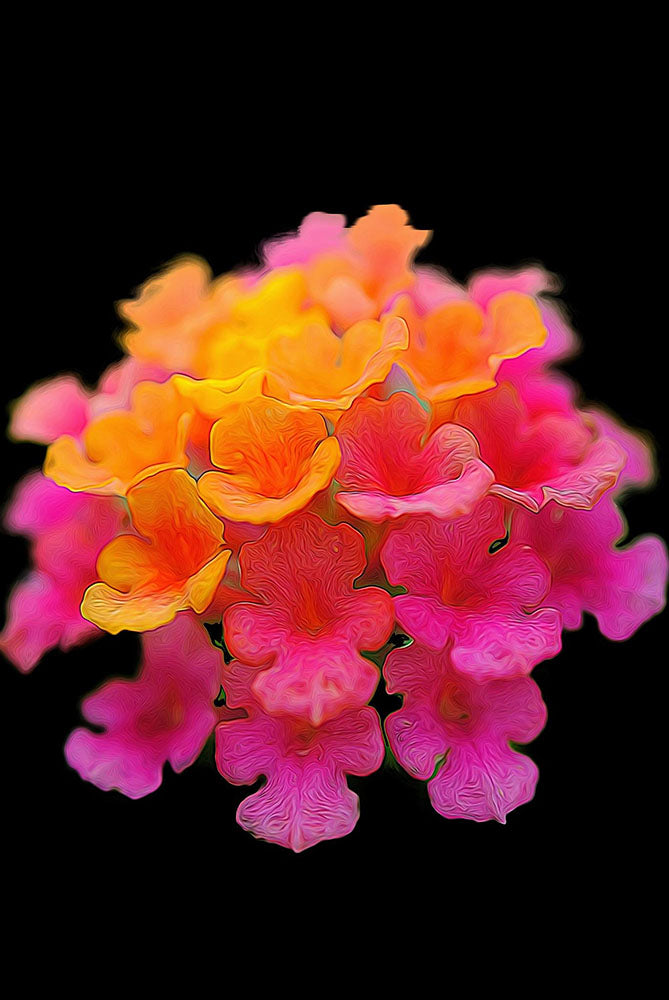 Tiny Pink and Orange Flowers Digital Image Download