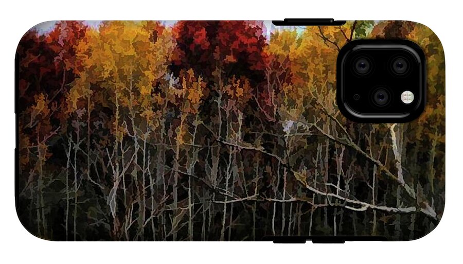 Wisconsin Woods In The Fall - Phone Case
