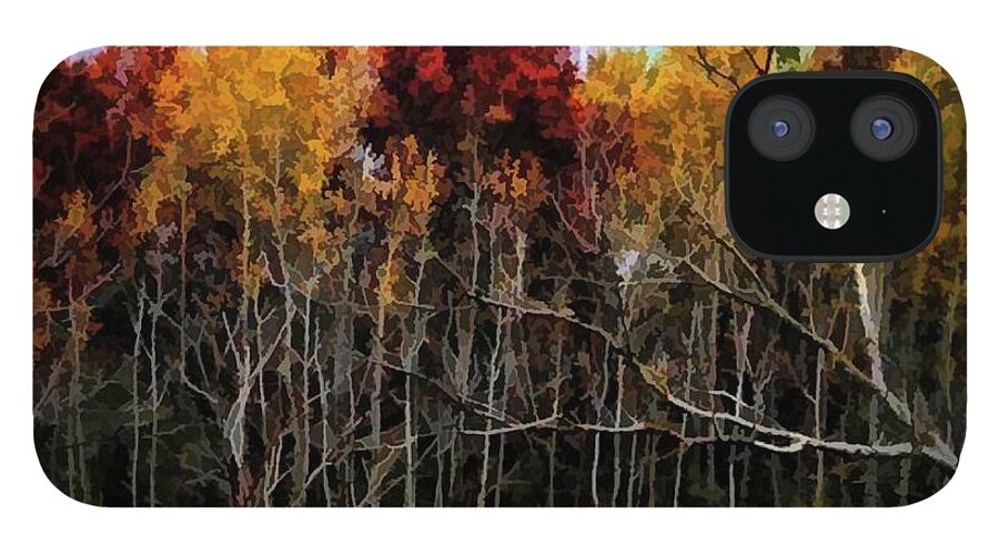 Wisconsin Woods In The Fall - Phone Case
