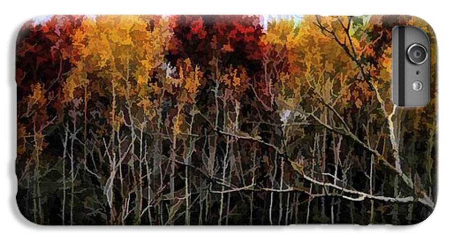 Wisconsin Woods In The Fall - Phone Case