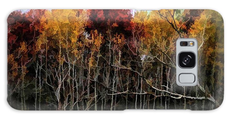 Wisconsin Woods In The Fall - Phone Case