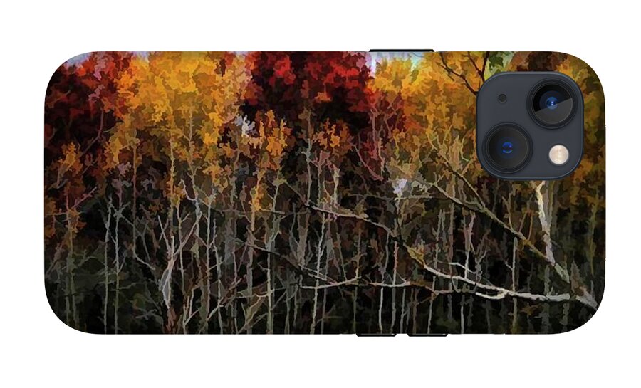 Wisconsin Woods In The Fall - Phone Case