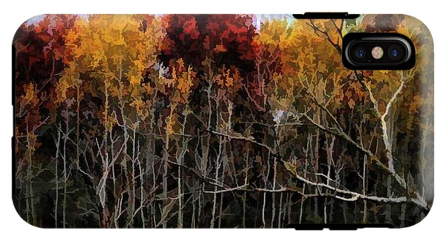 Wisconsin Woods In The Fall - Phone Case