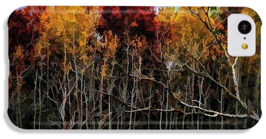 Wisconsin Woods In The Fall - Phone Case