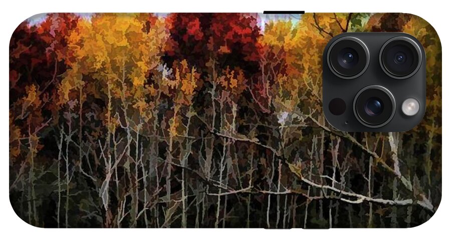 Wisconsin Woods In The Fall - Phone Case