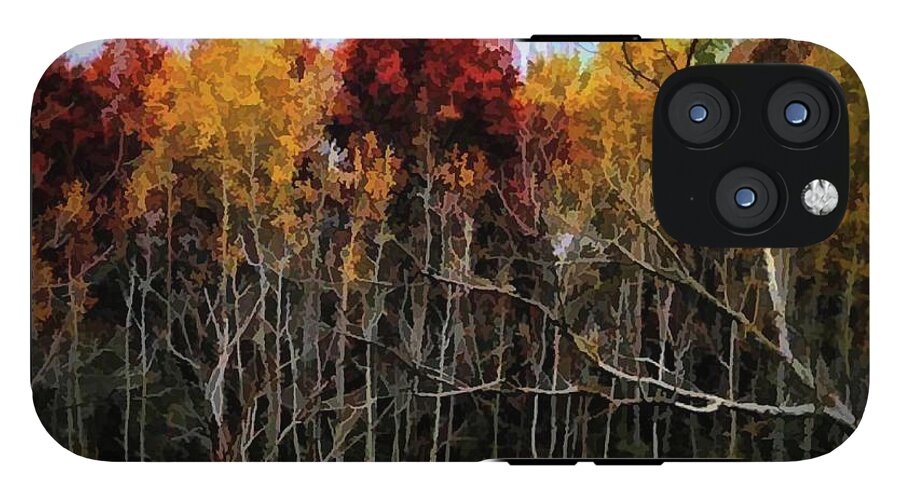 Wisconsin Woods In The Fall - Phone Case