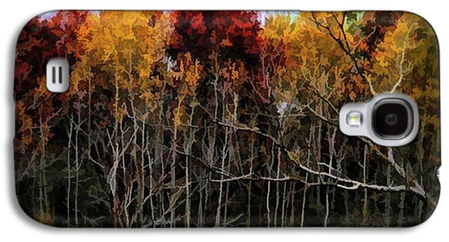 Wisconsin Woods In The Fall - Phone Case